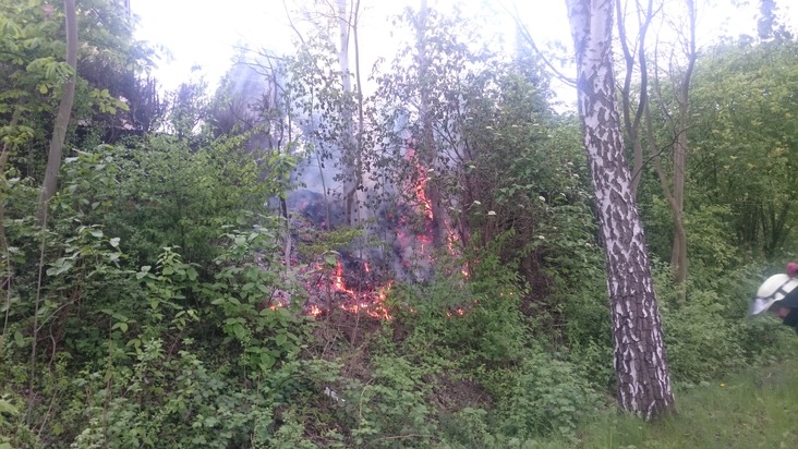 FW-WRN: Brennt Hecke am Goetheweg