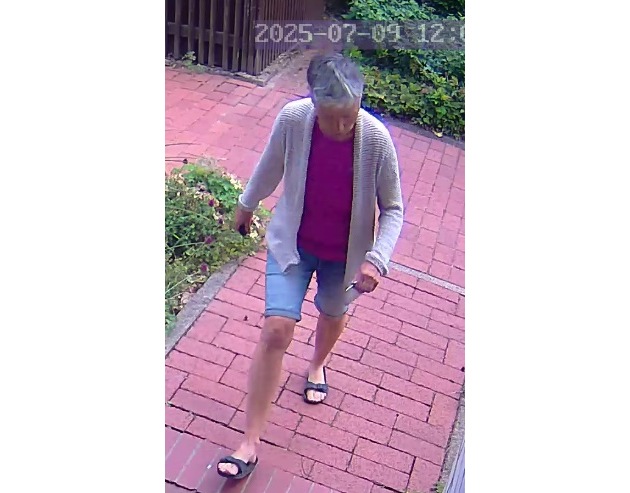 POL-H: Öffentlichkeitsfahndung: Wer hat die gesuchte 60-Jährige aus Langenhagen gesehen?