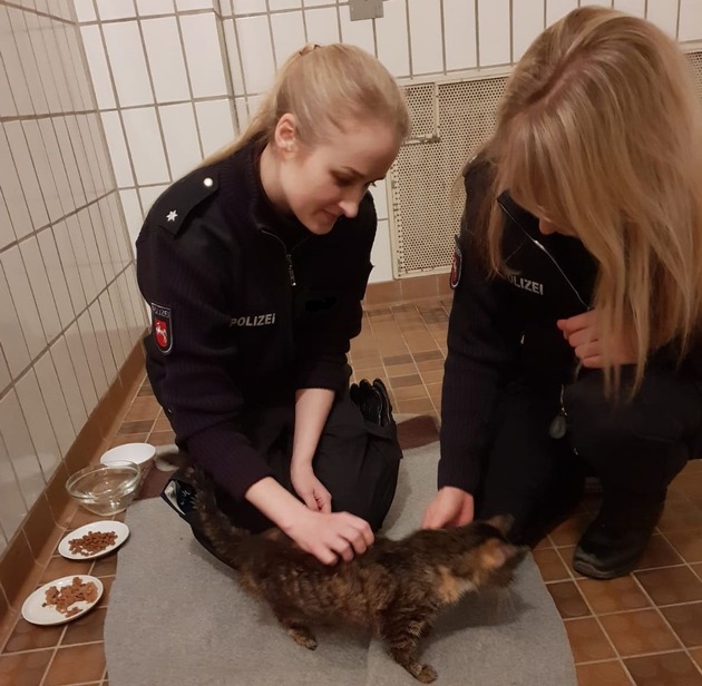 POL-STD: Katze in Stade in Farbeimer vor Tierarztpraxis ausgesetzt - Nach Übernachtung bei der Polizei ärztlich untersucht und jetzt im Tierheim - Polizei sucht Eigentümer