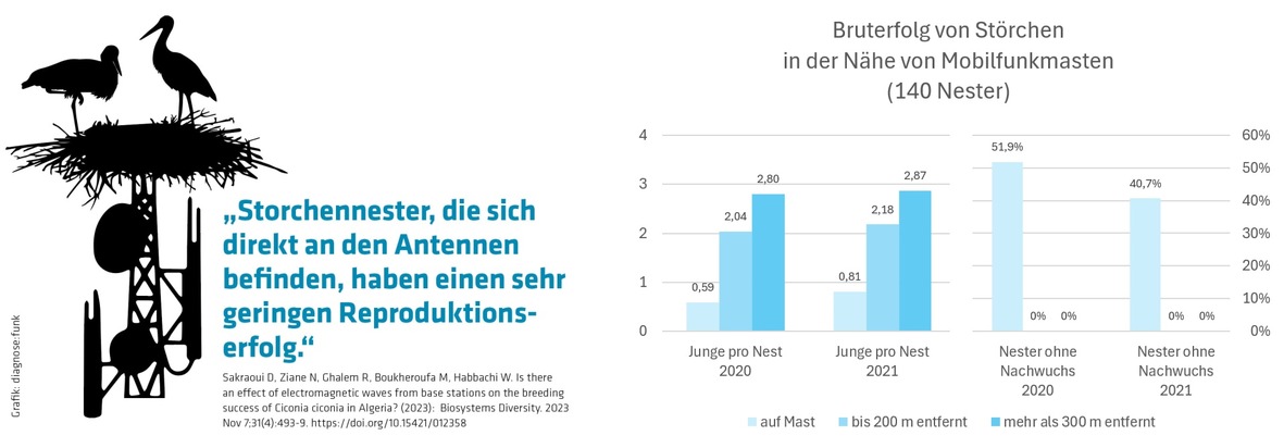 Studie: Storchen-Nachwuchs klapp(er)t nicht in der Nähe von Mobilfunkmasten