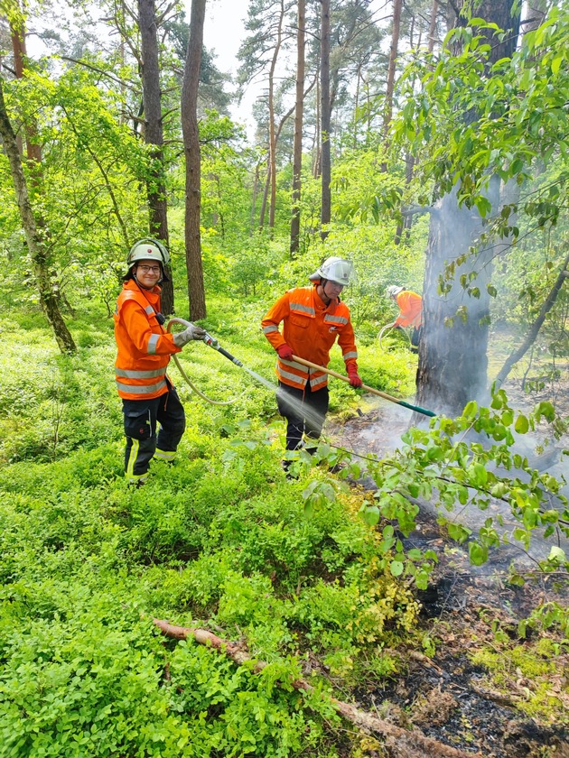 FW Celle: Feuer im Unterholz in Westercelle!