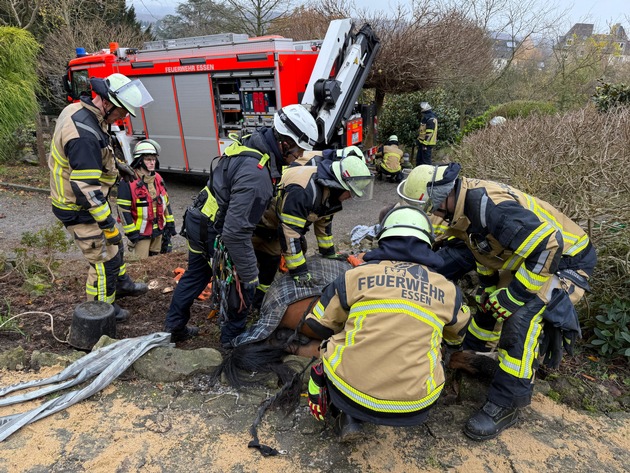 FW-E: Tier in Notlage - Feuerwehr hilft gestürztem Pferd wieder auf die Beine