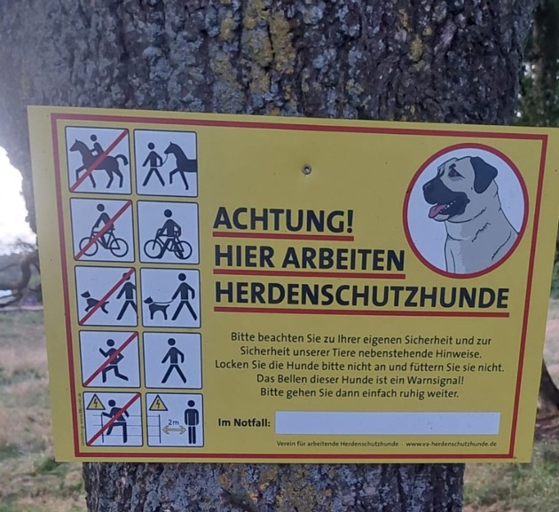 Herdenschutzhunde in den Cuxhavener Küstenheiden