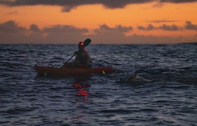47 Kilometer bei Nacht durch den Pazifik / Nathalie Pohl bezwingt als erste Deutsche den Kaiwi-Kanal