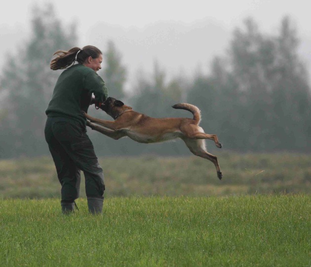 POL-REK: Diensthundeführer und Polizeidiensthunde sind fit