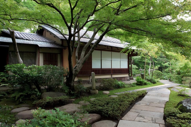 Il lato tranquillo di Tokyo