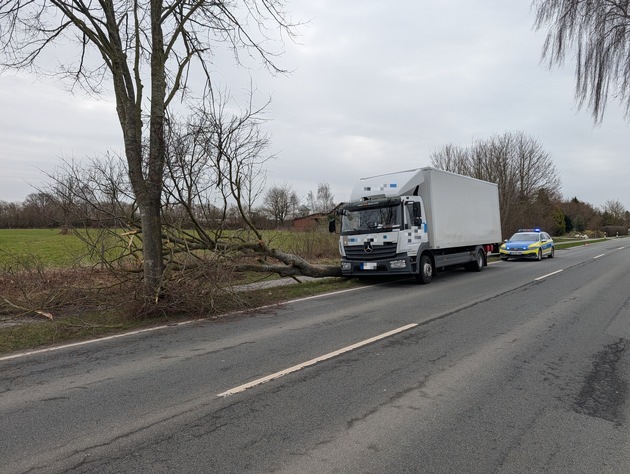 POL-STD: LKW-Fahrer weicht entgegenkommendem Sattelzug aus und prallt im Seitenraum gegen einen Baum - Fahrer bleibt unverletzt - Polizei sucht Verursacher und Zeugen