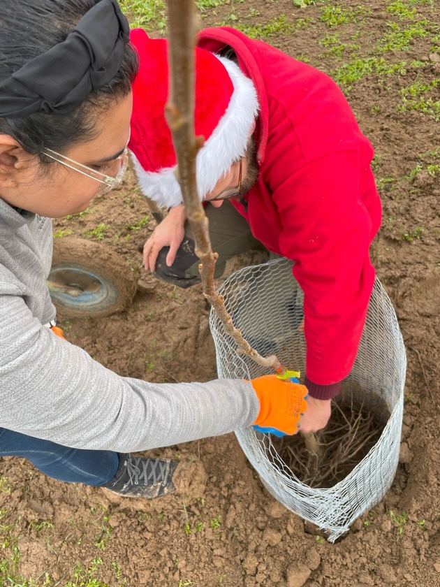 Pflanzaktion: Neue Agroforst-Versuchsfläche für Lehre und Forschung