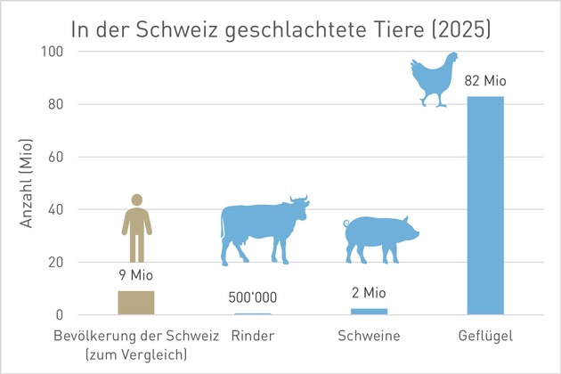 Schweizer Fleischkonsum erreicht empfohlene Jahresmenge bereits am 7. Mai
