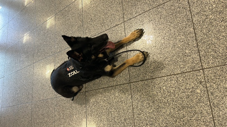 HZA-K: Zoll: Bargeldspürhund Skadi hat den richtigen Riecher und führt zu rund 70.000 Euro Falschgeld bei Reiserückkehrer aus der Türkei
