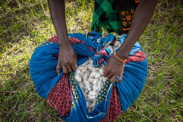 Cotton made in Africa-Baumwolle gefragter denn je