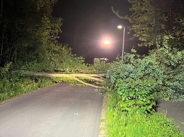 FW Hünxe: Baum blockiert Straße