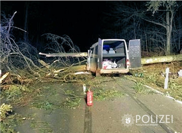 POL-PPWP: Transporter prallt gegen umgestürzten Baum
