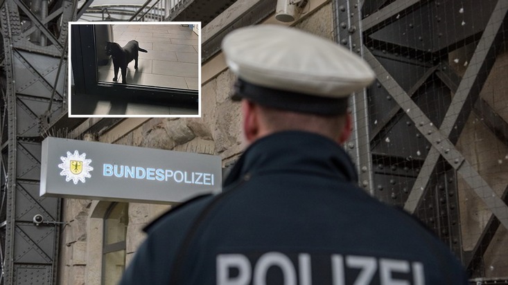 Bundespolizeidirektion München: Tierischer Einsatz am Hauptbahnhof / Bundespolizei hilft Mensch und Tier