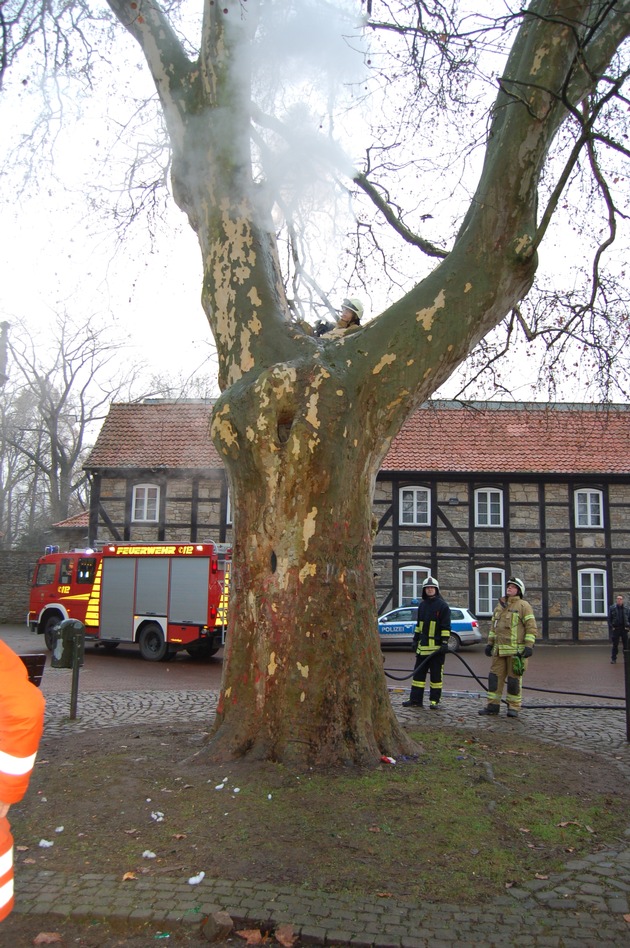 POL-STH: Unbekannte setzen alte Platane in Brand