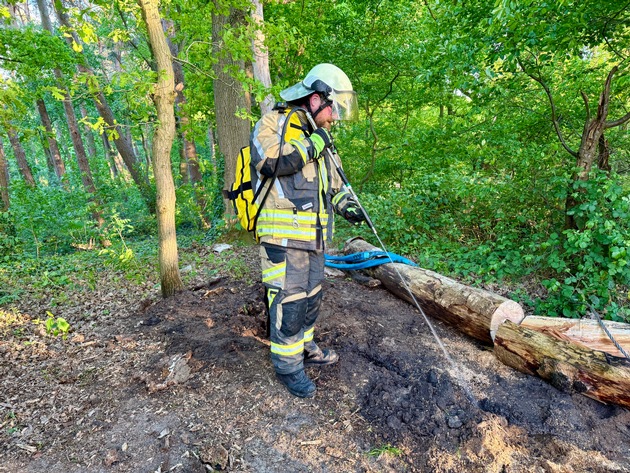 FW Hünxe: Brennender Baum im Waldstück
