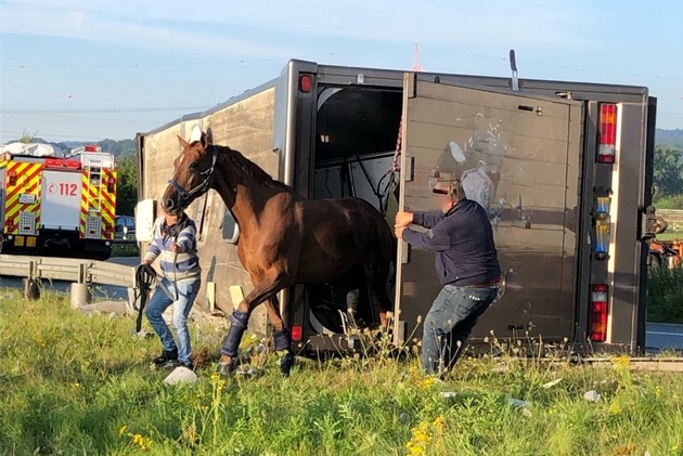 POL-MS: Pferdetransporter kippt im Autobahnkreuz Lotte um
