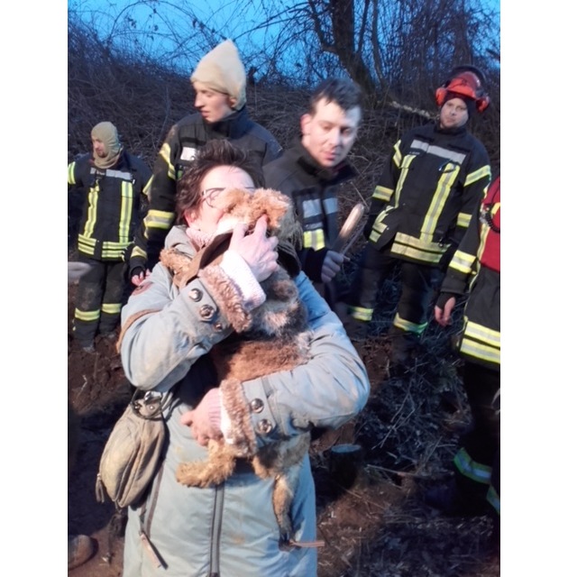 FW-MH: Foxterrier Hündin nach fast fünf Stunden aus Fuchsbau befreit.