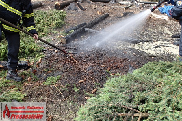FW-PL: 4 Tage nach Waldbrand am Böhl erneut Feuerwehreinsatz in Kahlschlagfläche