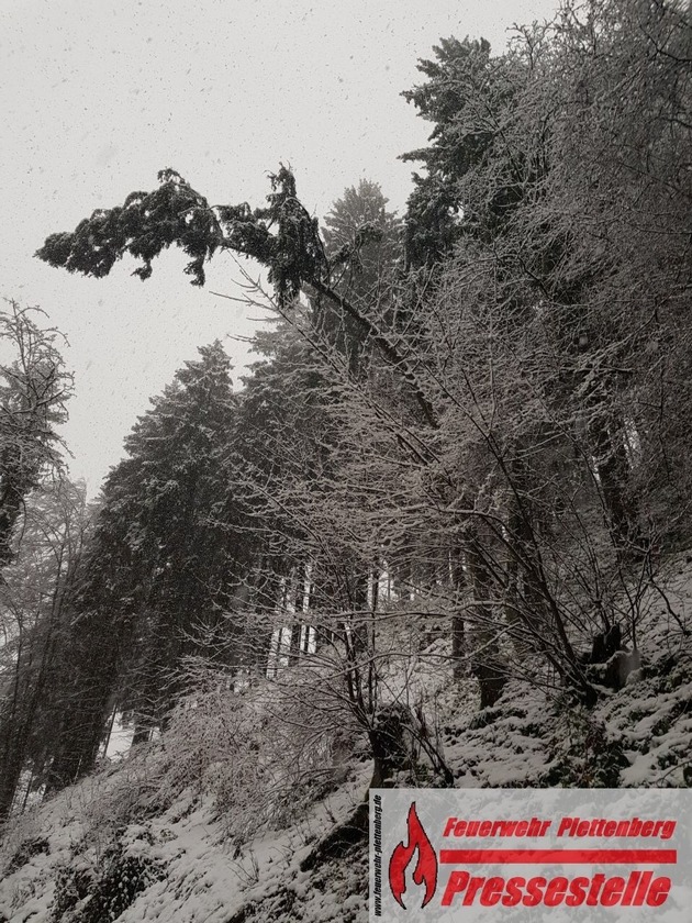 FW-PL: OT-Stadtmitte. Schneebruch sorgte für Vollsperrung. Baum kracht während Feuerwehreinsatz auf die Straße