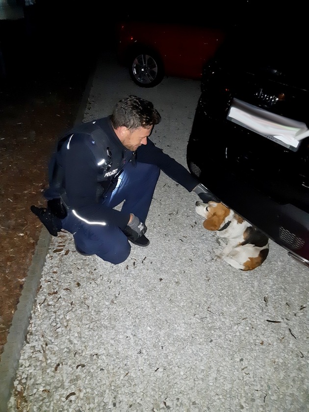 BPOLI L: Außergewöhnliche Rettungsaktion- Bundespolizisten finden kleinen verängstigten Beagle in Thekla