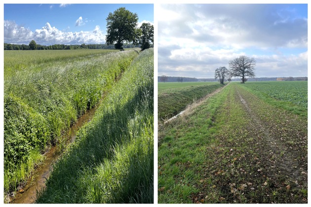 DBU: Artenreichtum im und am Wasser – Lebendige Flüsse für Niedersachsen