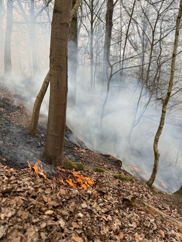 FW-E: Erster Waldbrand des Jahres 2025 - rund 1000 Quadratmeter Vegetation verbrannt