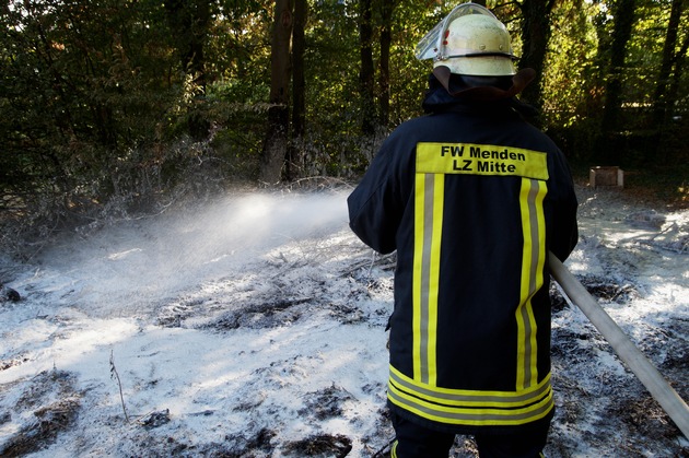 FW Menden: Fahrzeugbrand und kleiner Flächenbrand am Sonntagnachmittag