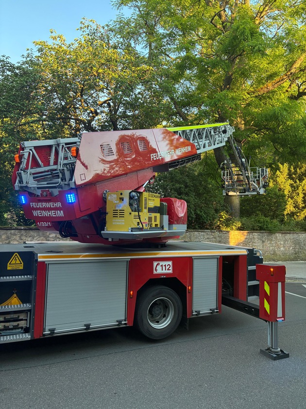 FW Weinheim: Drei Katzen, zwei Einsätze. Feuerwehr Weinheim an Pfingsten zu zwei Katzenrettungen alarmiert