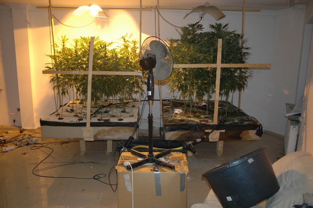 POL-NOM: Cannabisplantage in Northeimer Wohnung betrieben - Bilder im Anhang
