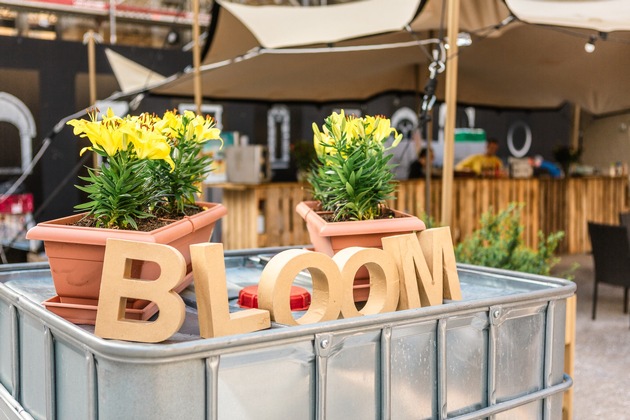 Bärenstarker Filmabend mit VIER PFOTEN: «Der Bär in mir» im Rahmen des BLOOM-Freiluftkinos in Zürich