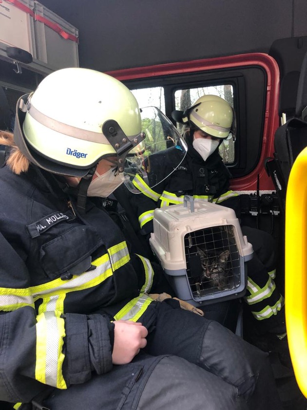 FW-EN: Feuerwehr rettete Katze - Brandmeldealarm am Sonntag - Insgesamt fünf Einsätze am Wochenende