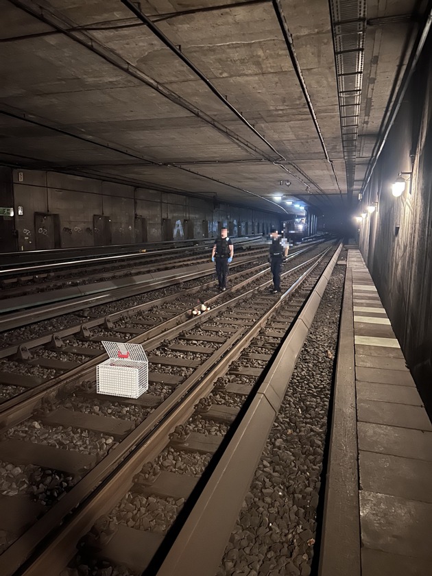 BPOL-HH: Tierischer Rettungs-Einsatz im Bahnhof Altona- &quot;Entenfamilie&quot; auf Abwegen...-