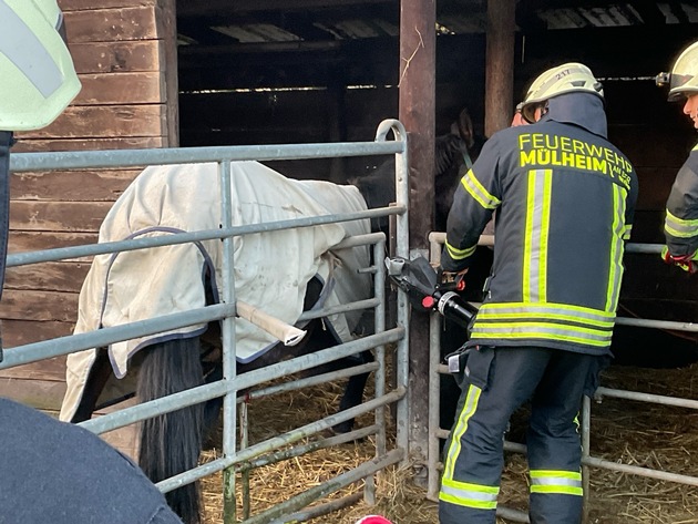 FW-MH: Tier in Notlage - Technische Hilfeleistung durch die Feuerwehr