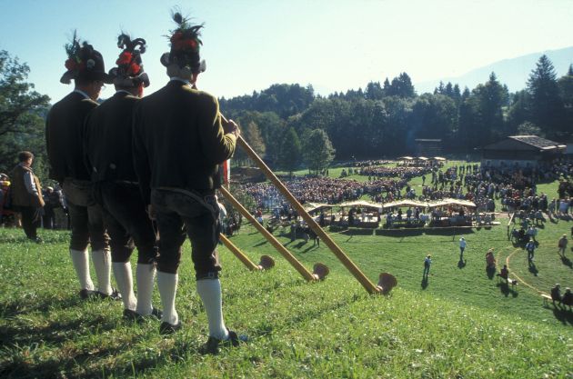 Schottische Highlander feiern Tiroler Tradition - BILD