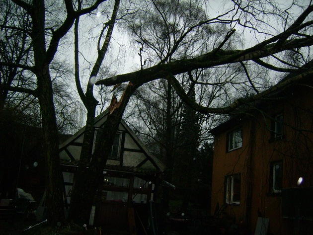 FW Mettmann: Baum stürzte auf das Dach eines Mehrfamilienhauses