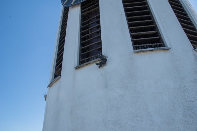 FW Menden: Feuerwehr rettet hilflose Taube von Kirchturm