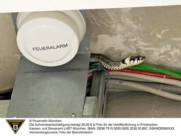 FW-M: Wochenendrückblick der Feuerwehr München (18. - 20.Juli 2025)