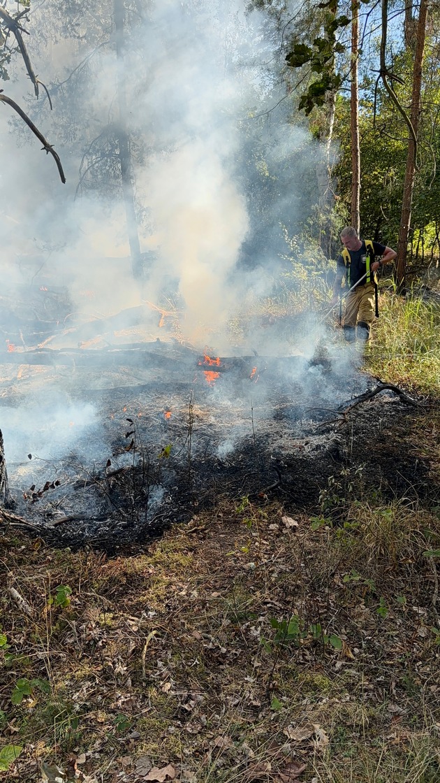 FW Speyer: Waldbrand auf dem Truppenübungsplatz
