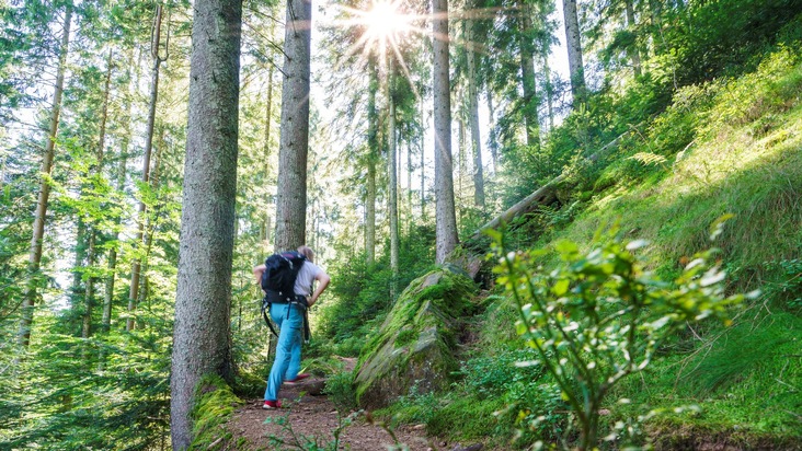 Pressemitteilung: Eigenes Bundesland ist attraktives Urlaubsziel