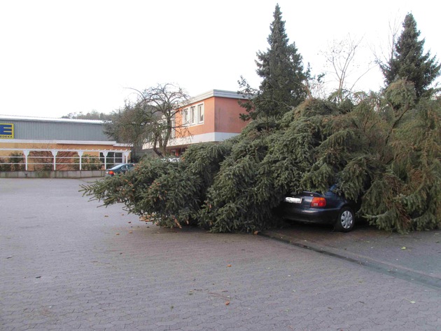 POL-HOL: Auswirkungen des Sturms der letzten Nacht: Baum auf PKW gestürzt - Raum Bodenwerder stark betroffen -