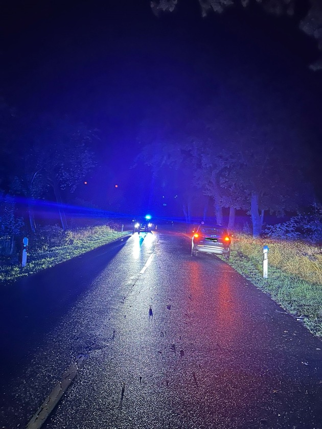 POL-WHV: Zwei verletzte Personen nach Verkehrsunfall mit entlaufenen Rindern in Schortens