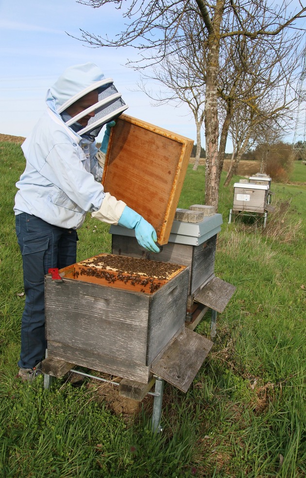 Zum Tag der deutschen Imkerei: Verwirrung bei Bienenhonig - Berufsimkerlabel schafft Sicherheit