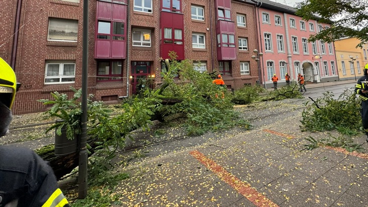 FW-NE: Baum stürzt auf Oberleitung der Straßenbahn | Oberstraße mehrere Stunden gesperrt | Keine Verletzten