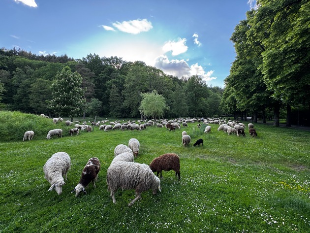POL-OG: Gaggenau, Bad Rotenfels - Abendmahl auf Kurparkwiese - Mit guten Nachrichten ins Wochenende
