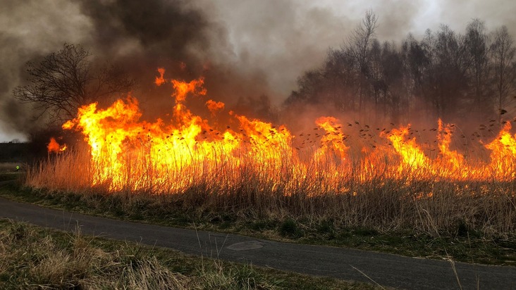 FW Celle: 600 m² Grasland brennen an der Aller