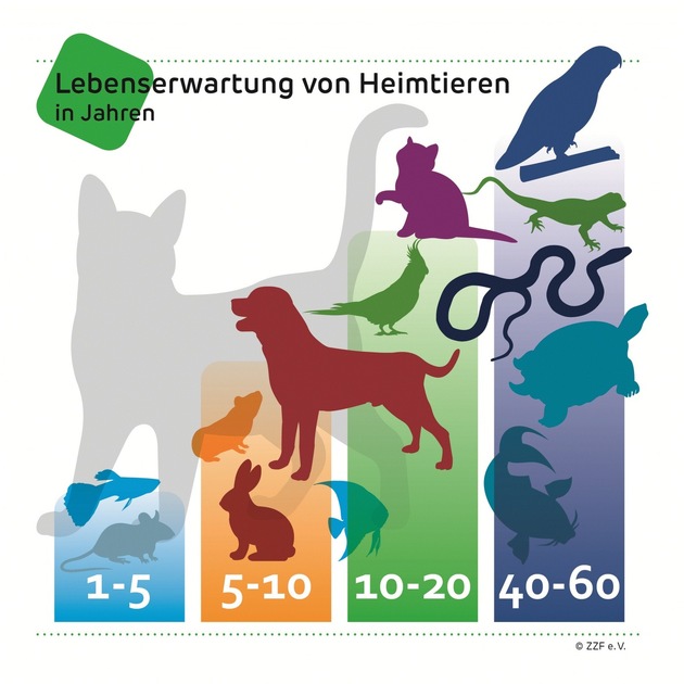 Am 4. Oktober ist Welttierschutztag: ZZF mahnt zur verantwortungsbewussten Anschaffung von Heimtieren