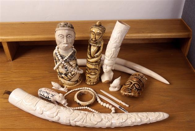 EU Kommissar Vella soll handeln: Über 1,2 Million Menschen fordern Handelsverbot für Elfenbein