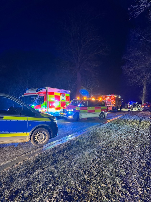 FW-SE: Schwerer Verkehrsunfall mit zwei verletzten Personen