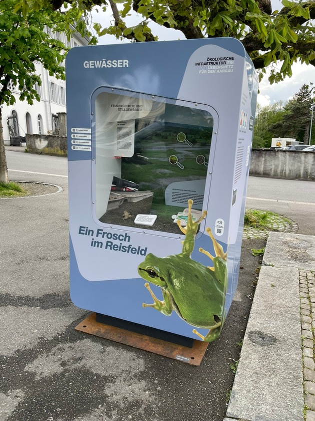 Pop-up «Ökologische Infrastruktur» beim Naturama und im Kantipark Aarau